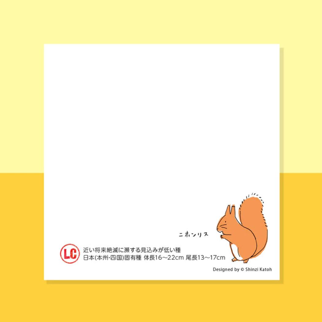 メモ帳 ブロックメモ 陸の絶滅危惧種 木野瀬印刷