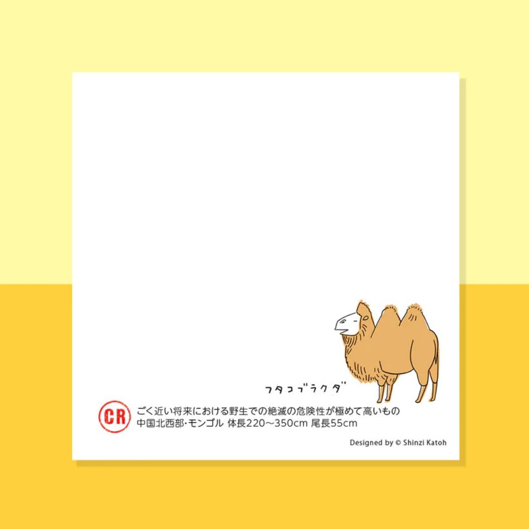メモ帳 ブロックメモ 陸の絶滅危惧種 木野瀬印刷