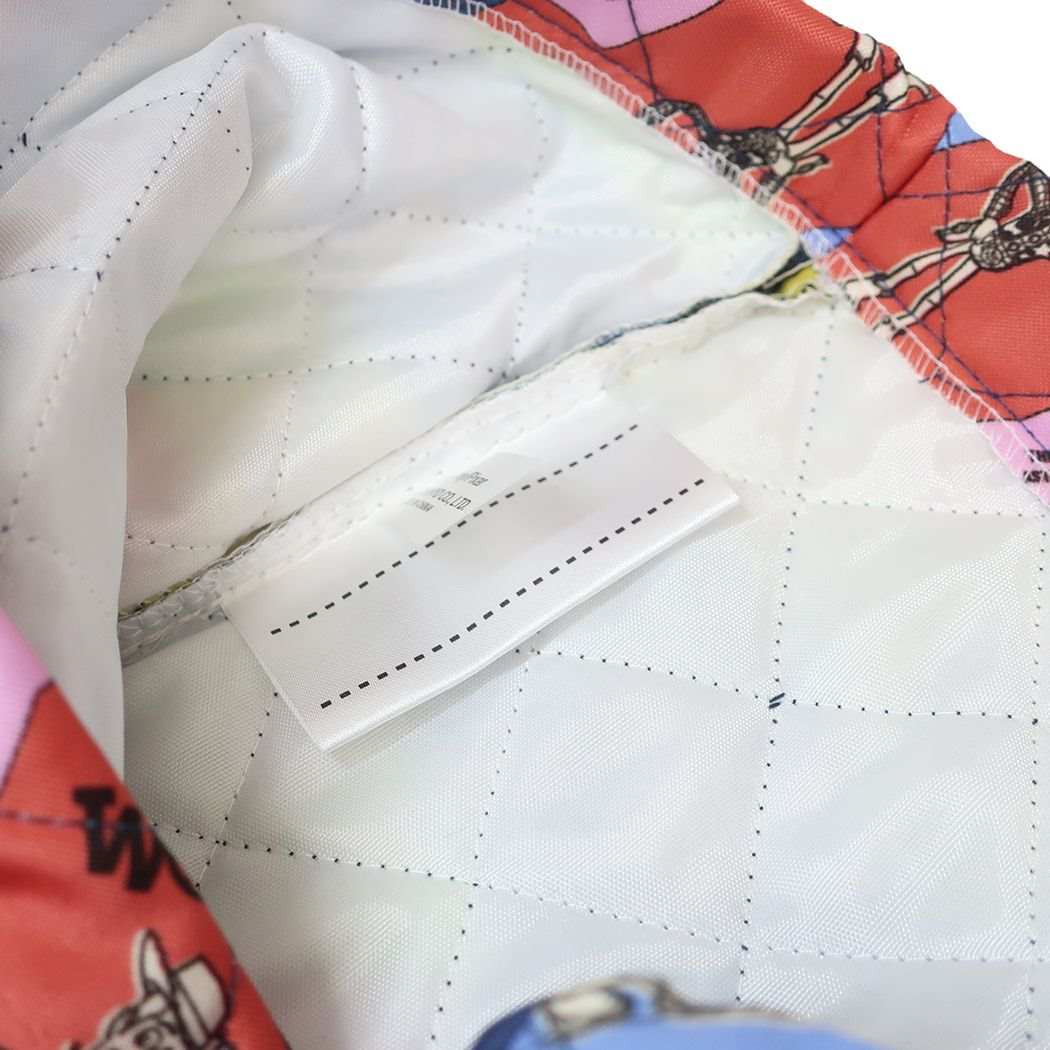 トイストーリー キャラクター キルトレッスンバッグ ジュニアお稽古かばん 新入学 ディズニー