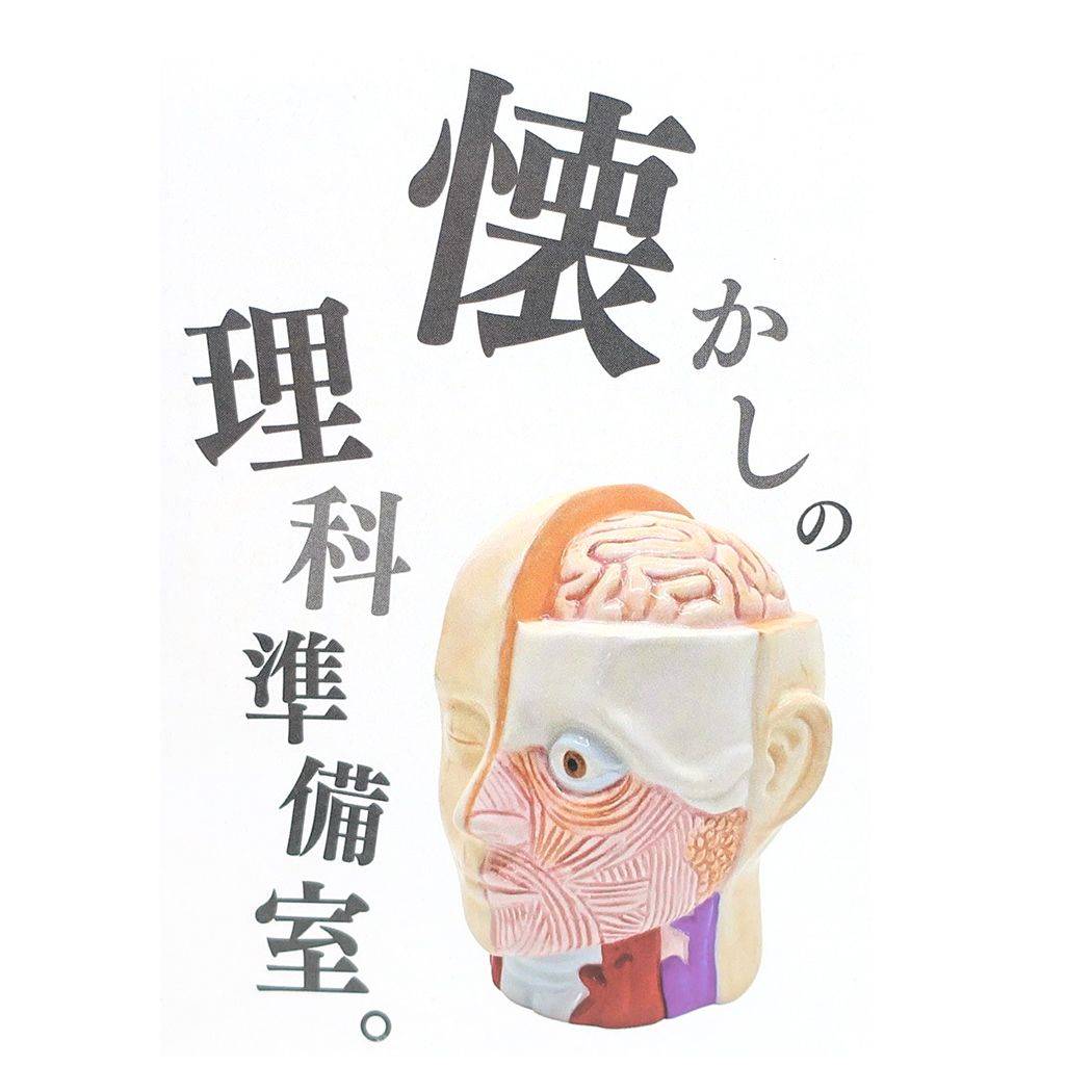 人体模型バンク おもしろ雑貨 陶器製貯金箱 サンアート