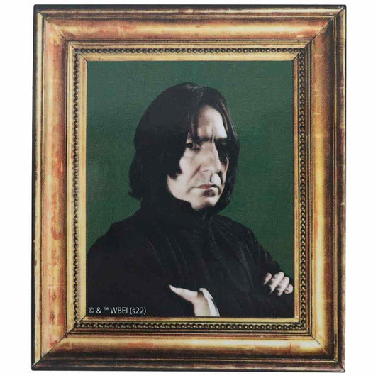 ハリーポッター 映画キャラクター ビッグシール ダイカットビニールステッカー セブルス スネイプ 額縁 ワーナーブラザース プレゼント