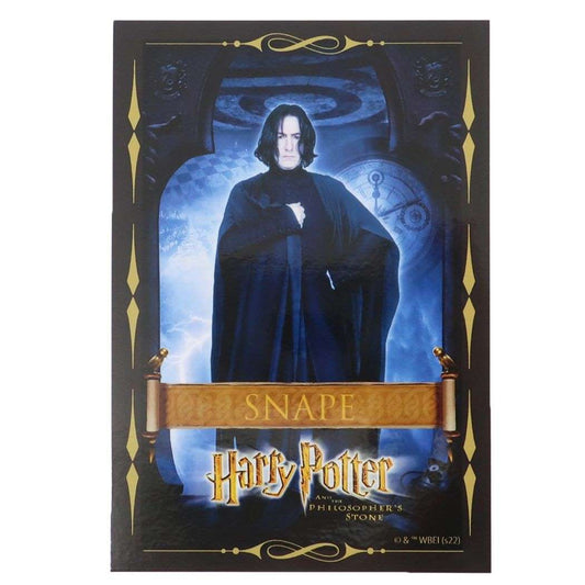 ハリーポッター 映画キャラクター ビッグシール アウトドアステッカー スネイプ スクエア ワーナーブラザース プレゼント 男の子 女の