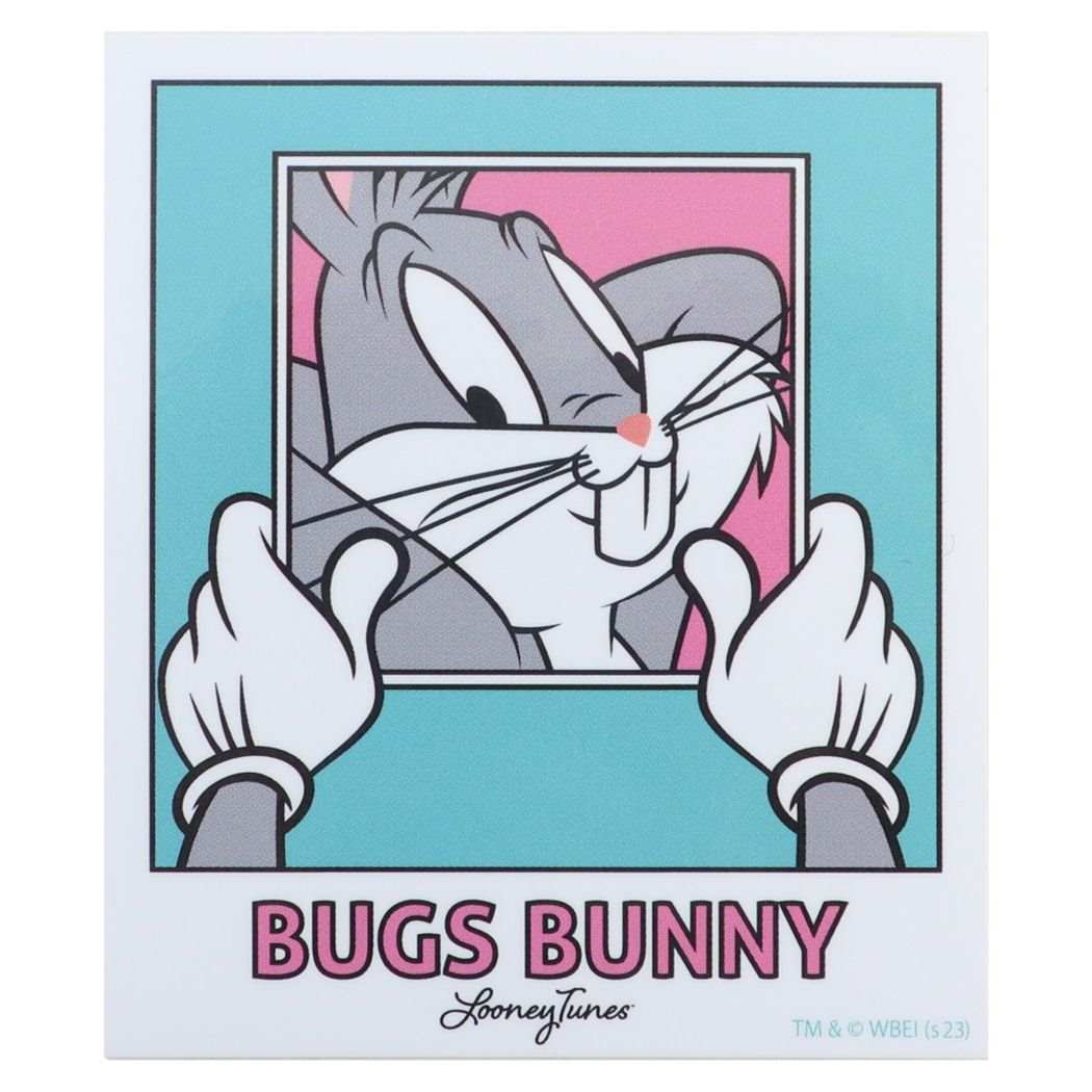 ルーニーテューンズ ダイカットシール キャラクターステッカー 写真 LOONEY TUNES スモールプラネット