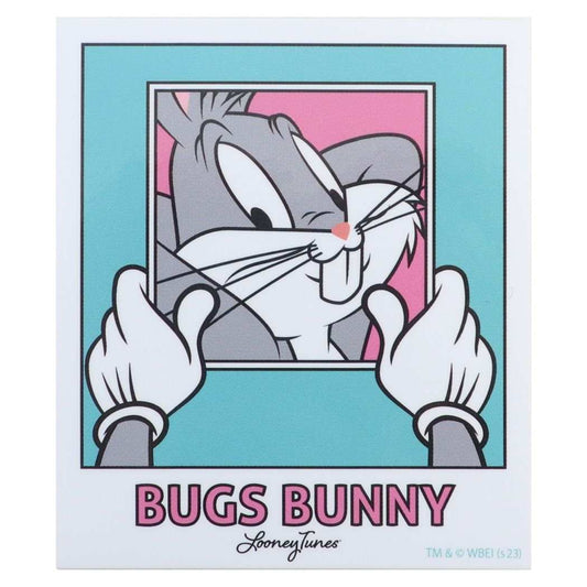 ルーニーテューンズ ダイカットシール キャラクターステッカー 写真 LOONEY TUNES スモールプラネット