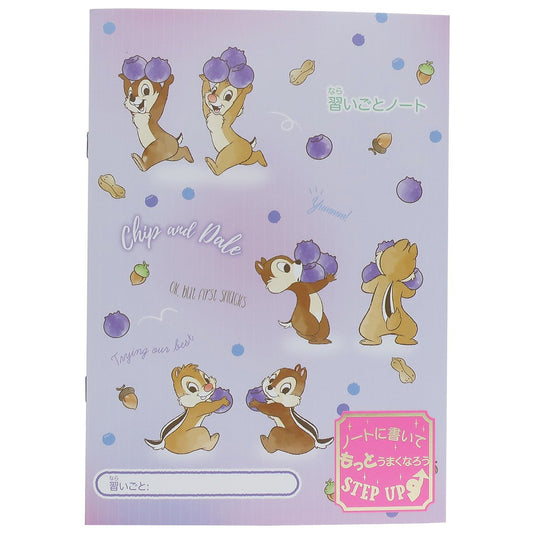 チップ＆デール 目標ノート B5 習いごとノート Fancy Style 16 ディズニー サンスター文具 17.5×25cm プレゼント